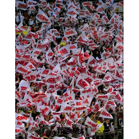 TRIBUNES |Premier Numéro