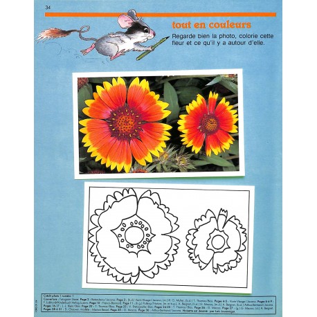 WAKOU |Premier Numéro