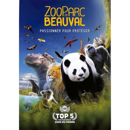 FAMILLE ROBINSON |Premier Numéro