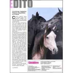 CAVALIÈRE |Premier Numéro 2