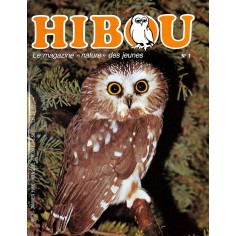 HIBOU |Premier Numéro