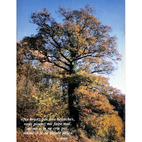 HIBOU |Premier Numéro