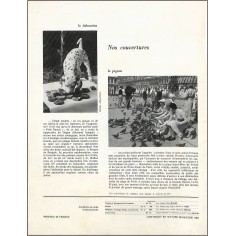 NATURE MAGAZINE |Premier Numéro 2