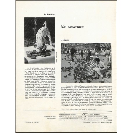 NATURE MAGAZINE |Premier Numéro