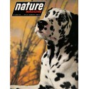 NATURE MAGAZINE |Premier Numéro