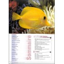 LES DOSSIERS DÉCOUVERTE DE L'AQUARIUM À LA MAISON |Premier Numéro