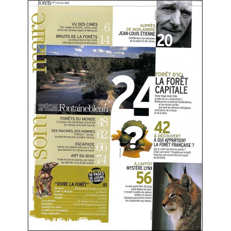FORÊTS MAGAZINE |Premier Numéro