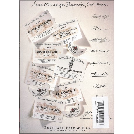 WINES TERROIRS |Premier Numéro