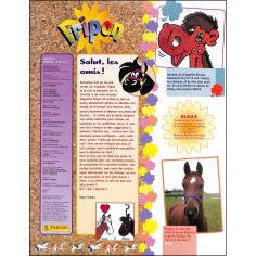 FRIPON |Premier Numéro 2