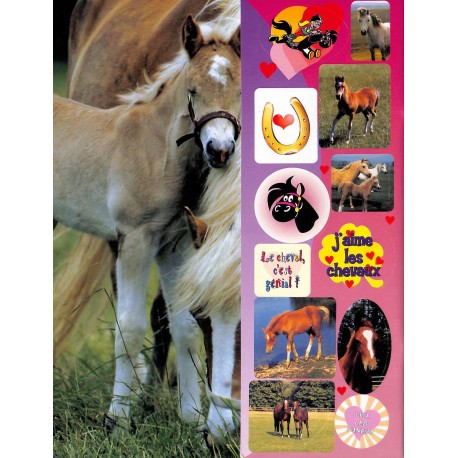 FRIPON |Premier Numéro