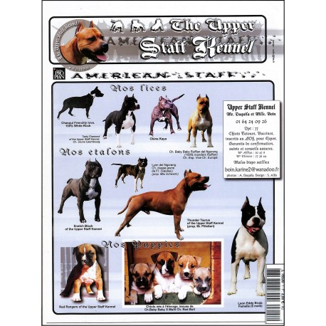 BULL & TERRIER |Premier Numéro