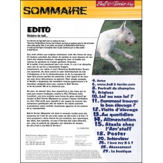 BULL & TERRIER |Premier Numéro 2