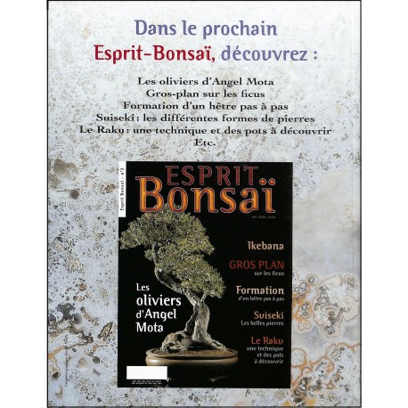 ESPRIT BONSAÏ |Premier Numéro