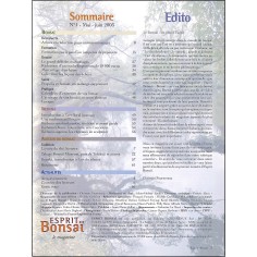 ESPRIT BONSAÏ |Premier Numéro 2