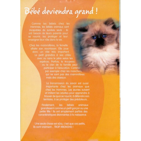 ANIMAUX TROP MIGNONS |Premier Numéro