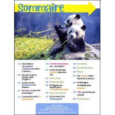 LE JOURNAL DES PETITS 2