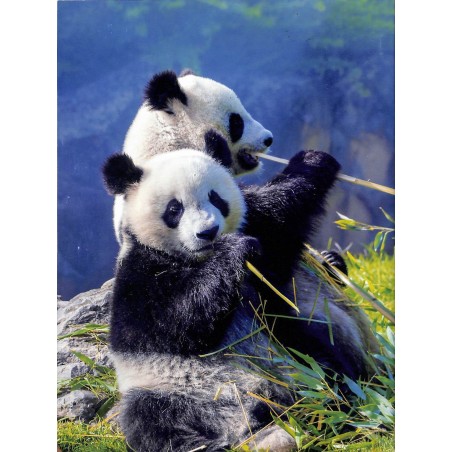 LE JOURNAL DES PETITS