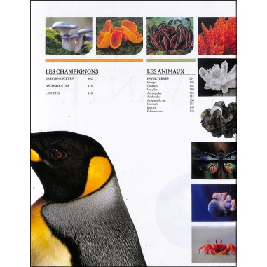 MERVEILLES DE LA NATURE