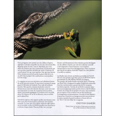 MERVEILLES DE LA NATURE 2