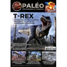 PALÉO, DINOSAURES ET FOSSILES