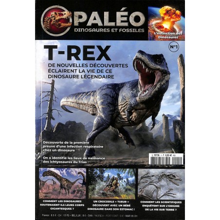 PALÉO, DINOSAURES ET FOSSILES