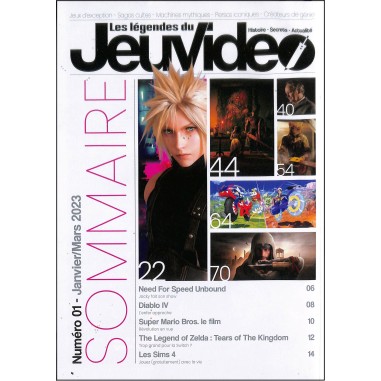 Les légendes du jeu vidéo