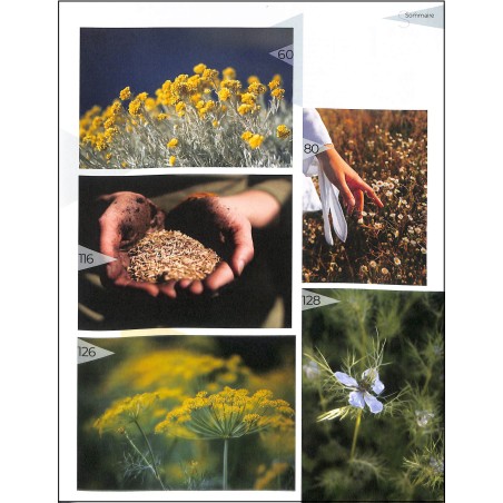 Nature et Santé bien-être