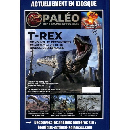 CHRONIQUES DE LA 2EME GUERRE MONDIALE