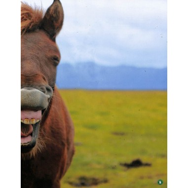 LE MONDE DES ANIMAUX