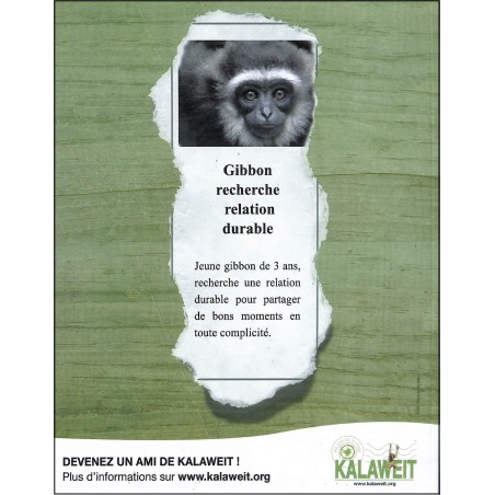 LE MONDE DES ANIMAUX