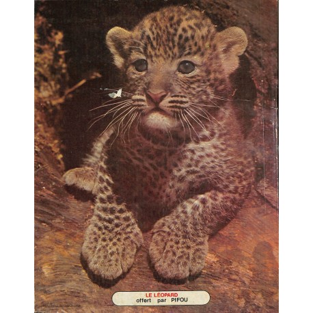 PiFou |Premier Numéro