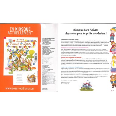 LES CONTES ENCHANTES DE PERRAULT