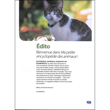 Les Chats ma petite encyclopédie des animaux