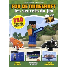 Fou de Minecraft