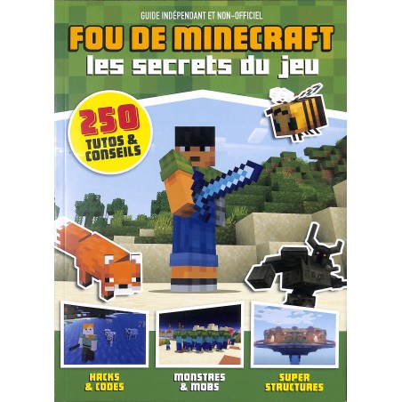 Fou de Minecraft