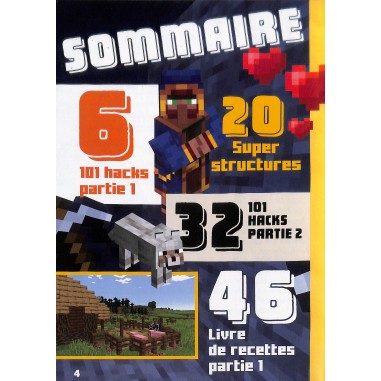 Fou de Minecraft