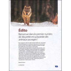 Ma petite encyclopédie des... 2