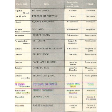 TOUT A VOUS la cuisine de A à Z