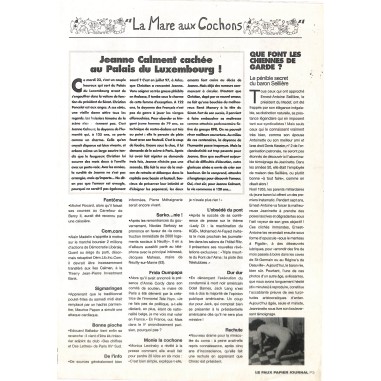 LE FAUX PAPIER JOURNAL