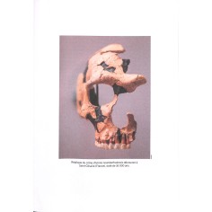 LA SCIENCE EN GRAND FORMAT 2