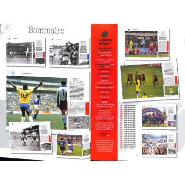 LA GRANDE HISTOIRE DE LA COUPE DU MONDE