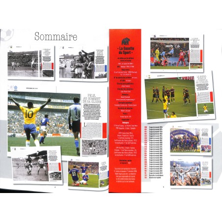 LA GRANDE HISTOIRE DE LA COUPE DU MONDE
