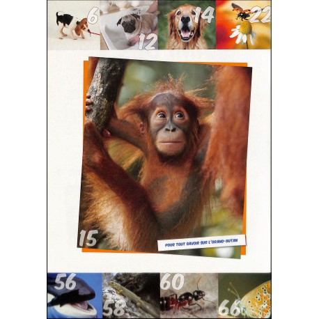 ANIMAUX et nature |Premier Numéro