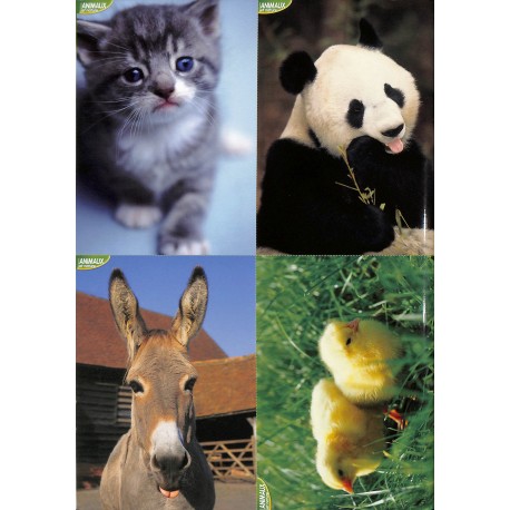 ANIMAUX et nature |Premier Numéro