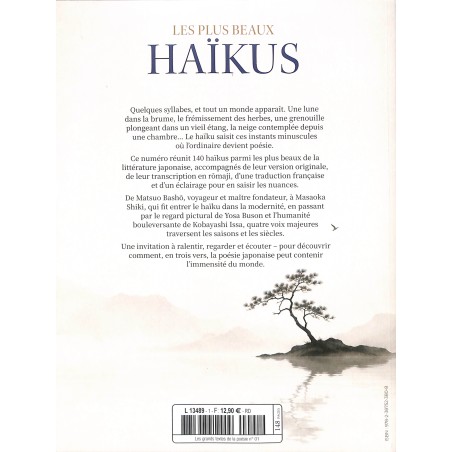 LES PLUS BEAUX HAÏKUS