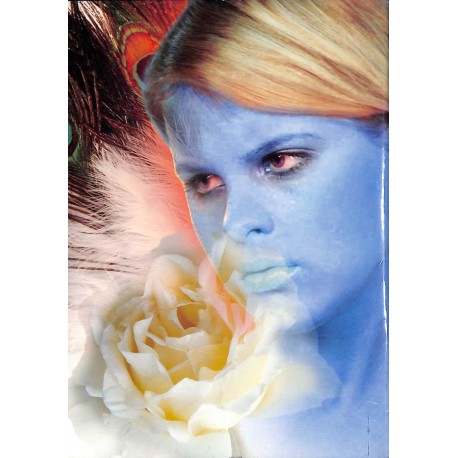 ANGES et Archanges mag |Premier Numéro