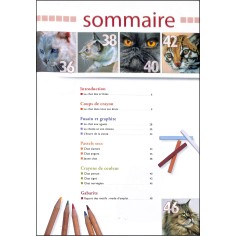 Dessiner |Premier Numéro 2