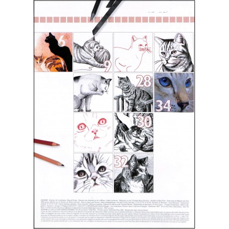 Dessiner |Premier Numéro