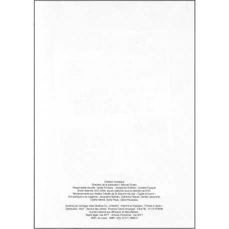 Création Mosaïque |Premier Numéro