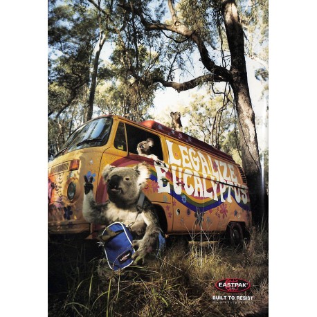 SILVER fmx magazine |Premier Numéro